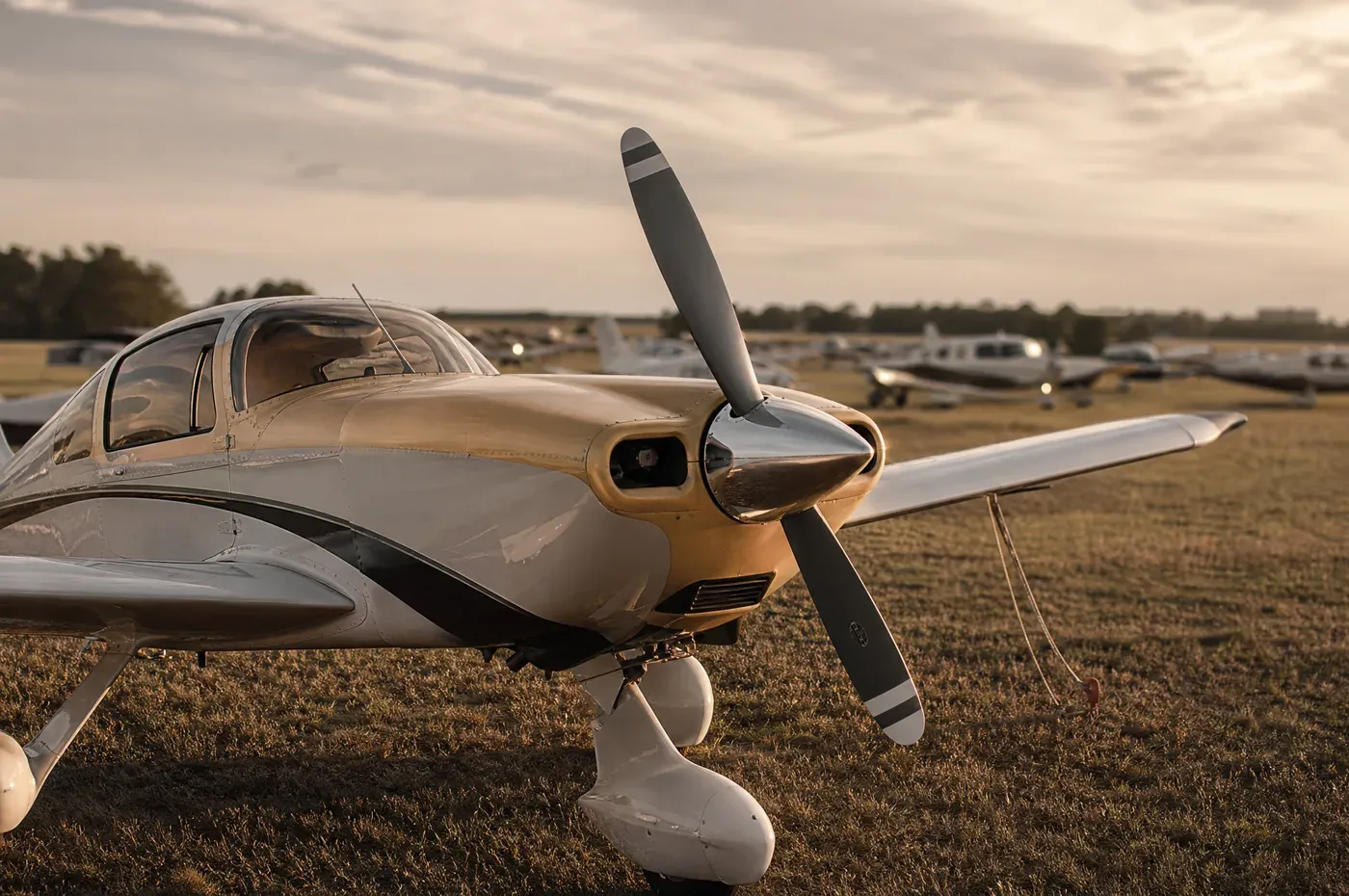 A single-engine piston aircraft polished on an outdoor tie-down at golden hour